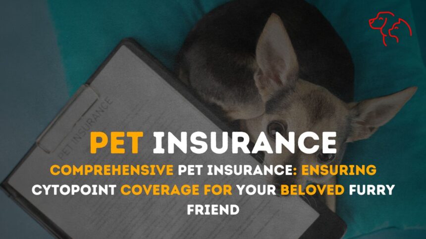 Pet Insurance