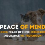 Pet Insurance